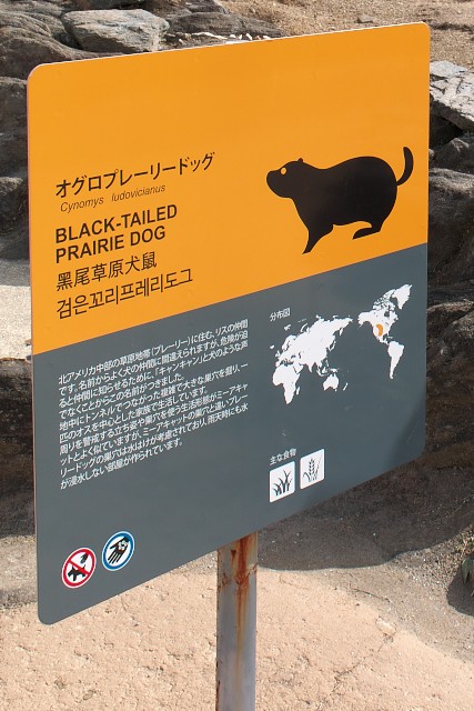 オグロプレーリ－ドッグ(Black-tailed prairie dog)の案内看板