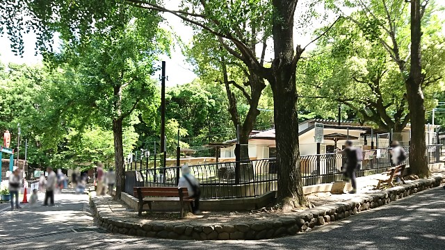 五月山動物園 ウォンバット舎