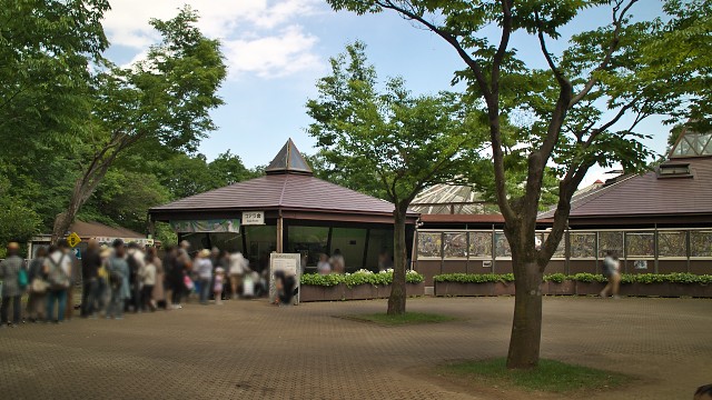 コアラ舎(埼玉県こども動物自然公園)