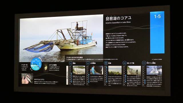 滋賀県立琵琶湖博物館の展示物説明