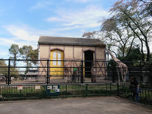 羽村市動物公園 サバンナ園