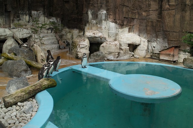 平川動物公園 ペンギン舎