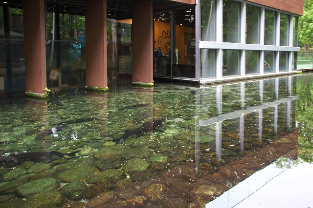 山梨県立富士湧水の里水族館 横見水槽外部